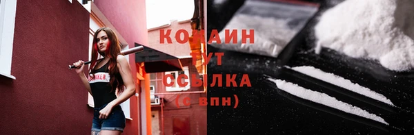 mix Белокуриха
