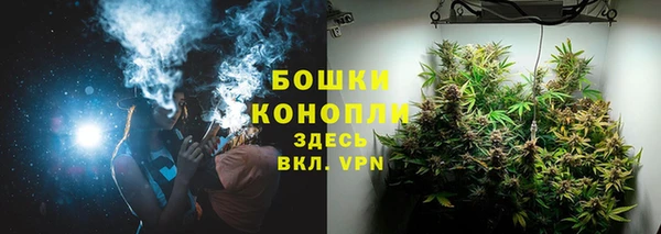 mix Белокуриха