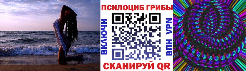 Галлюциногенные грибы Psilocybine cubensis Белоусово